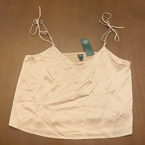 wild fable Tops - Blush Pink Silk Top